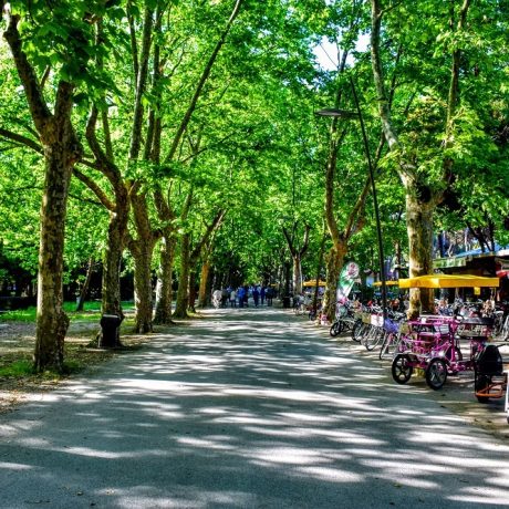 Pineta di Ponente Viareggio